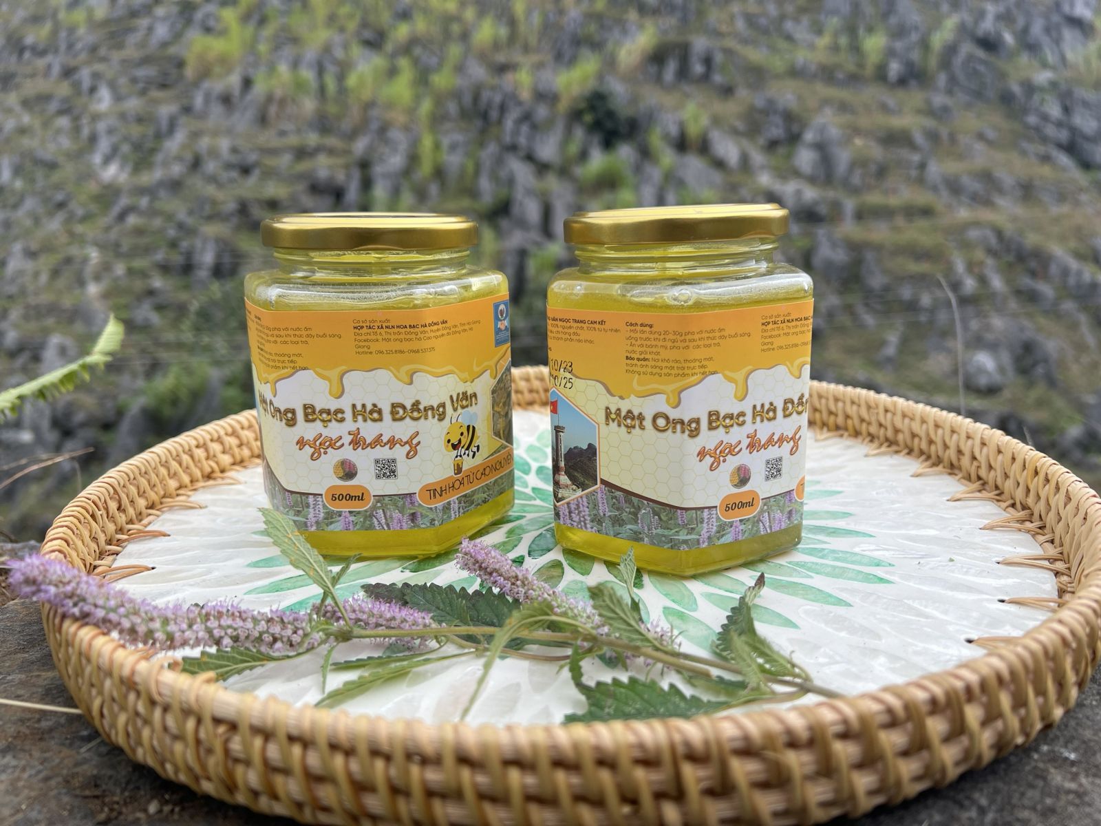 Mật ong bạc hà đặc biệt hộp thuỷ tinh  1000ml OCOP 3 sao